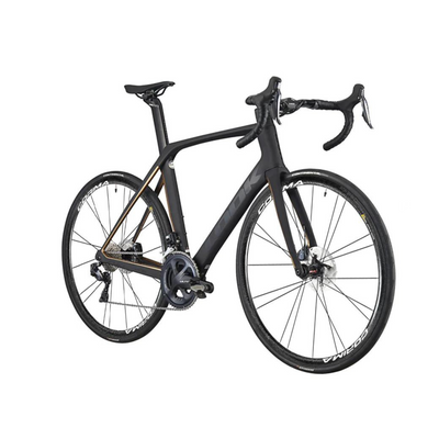 Look 795 Blade RS Disc Carbon Champagne Mat Glossy Ultegra-Medium(53)
