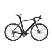 Look 795 Blade RS Disc Carbon Champagne Mat Glossy Ultegra-Medium(53)