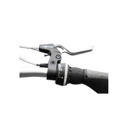 Dahon Route 20" Folding Bike