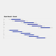 Men's Revolt 2 Gravel Bike